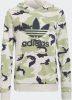Adidas Originals Adicolor hoodie lichtgrijs/lichtgroen/donkerblauw online kopen