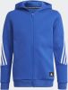 Adidas Hoodie Future Icons 3 Stripes Blauw/Wit Kinderen online kopen