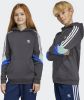Adidas Rekive Basisschool Hoodies online kopen