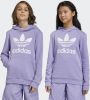 Adidas Originals Sweatshirt TREFOIL HOODIE online kopen