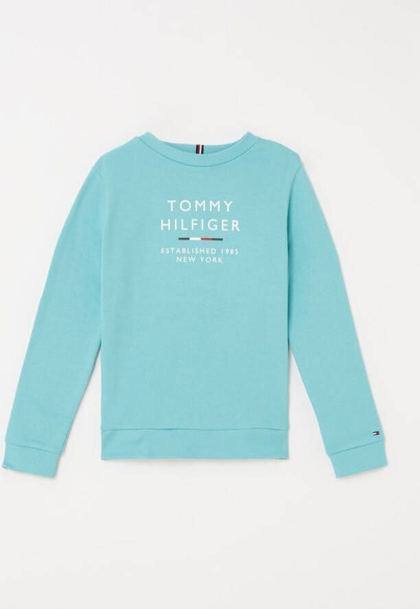 Tommy Hilfiger ! Jongens Sweater -- Turquoise Katoen/polyester online kopen