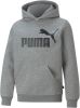 PUMA Hoodie Essentials Big Logo Grijs/Zwart Kinderen online kopen