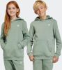 Adidas Adicolor Basisschool Hoodies online kopen
