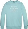 Tommy Hilfiger ! Jongens Sweater -- Turquoise Katoen/polyester online kopen