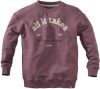 Z8 ! Jongens Sweater -- Paars Katoen/elasthan online kopen
