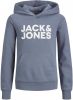 Jack & jones ! Jongens Trui -- Blauw Katoen/polyester online kopen