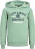 Jack & Jones Junior Hoodie JJELOGO SWEAT HOOD 2 COL 22/23 NOOS JNR online kopen