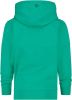 VINGINO jongens hooded sweater NOESKBN34601 groen online kopen