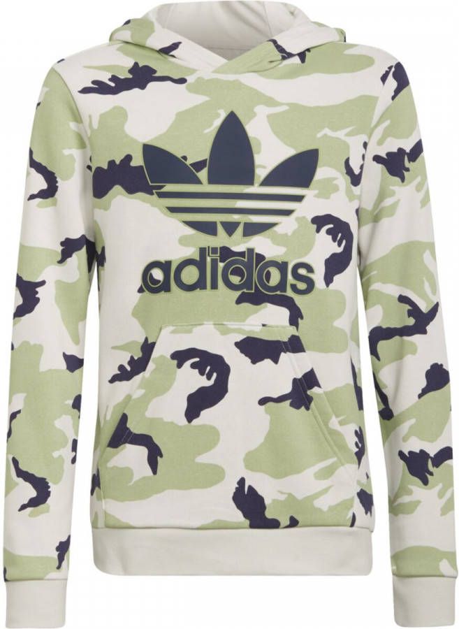 Adidas Originals Adicolor hoodie lichtgrijs/lichtgroen/donkerblauw online kopen