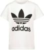 Adidas Trefoil voorschools T Shirts White 100% Katoen online kopen