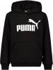 PUMA Hoodie Essentials Big Logo Grijs/Zwart Kinderen online kopen