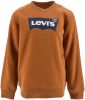 Levi's Kidswear Shirt met lange mouwen L/S BATWING TEE for boys online kopen