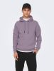 Only & Sons Hoodies & sweatvesten Grijs Heren online kopen