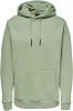 Only & Sons Hoodies & sweatvesten Grijs Heren online kopen