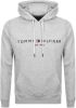 Tommy Hilfiger Herren Kapuzensweatshirt Logo Hoody , Grijs, Heren online kopen