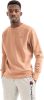 Champion Crewneck Sweatshirt 217223 Ms036 S , Bruin, Heren online kopen