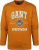 Gant Sweater O Hals Okergeel , Oranje, Heren online kopen