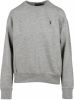 Polo Ralph Lauren Sweatshirt with embroidered logo , Grijs, Dames online kopen