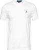 Polo Ralph Lauren T shirt Korte Mouw T SHIRT AJUSTE COL ROND EN PIMA COTON LOGO PONY PLAYER MULTICOLO online kopen