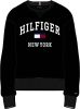 Tommy Hilfiger sweater zwart Mw0Mw28755 BDS , Zwart, Dames online kopen