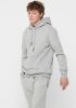 Only & Sons Hoodies & sweatvesten Grijs Heren online kopen