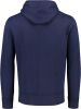 Polo Ralph Lauren Sweater SWEAT A CAPUCHE MOLTONE EN COTON LOGO PONY PLAYER online kopen