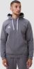 Adidas Entrada 22 Sweat Hoodie Grijs Wit online kopen