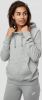 Nike Sportswear Essential Hoodie Dames Dark Grey Heather/Matte Silver/White online kopen