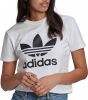 Adidas Originals Shortsleeve Dames T Shirts White 100% Katoen online kopen