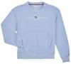 Tommy Hilfiger Blauwe Sweater Essential Cnk Sweatshirt L online kopen