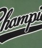 Champion Hoodie College Logo Groen , Groen, Heren online kopen
