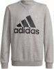 Adidas Big Logo Crewneck Sweatshirt Grijs/Zwart Kinderen online kopen