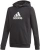 Adidas Hoodie Badge of Sport Zwart/Wit Kinderen online kopen