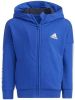 Adidas Hoodie Future Icons 3 Stripes Blauw/Wit Kinderen online kopen