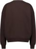 America Today Dames Sweater Shay Bruin online kopen