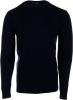 Daniele Fiesoli sweater donkerblauw , Blauw, Heren online kopen