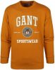 Gant Sweater O Hals Okergeel , Oranje, Heren online kopen