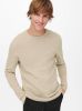 Only & Sons Trui met ronde hals in gestrucrureerd tricot Panter Life online kopen