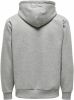 Only & Sons Hoodies & sweatvesten Grijs Heren online kopen