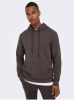 Only & Sons Hoodies & sweatvesten Grijs Heren online kopen