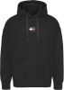 Tommy Hilfiger Sweater tjm tommy badge hoodie dm0dm10904/ab4 online kopen