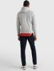 Tommy Hilfiger Herren Kapuzensweatshirt Logo Hoody , Grijs, Heren online kopen