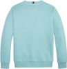 Tommy Hilfiger ! Jongens Sweater -- Turquoise Katoen/polyester online kopen