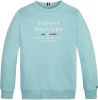 Tommy Hilfiger ! Jongens Sweater -- Turquoise Katoen/polyester online kopen