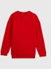 Tommy Hilfiger Rode Trui U Hilfiger Varsity Sweatshirt online kopen