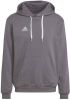 Adidas Entrada 22 Sweat Hoodie Grijs Wit online kopen