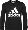 Adidas Sweatshirt Big Logo Zwart/Wit Kinderen online kopen