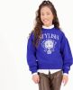 VINGINO ! Meisjes Sweater -- Blauw Katoen/elasthan online kopen