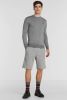 Scotch & Soda Lichtgrijze Trui Classic Crewneck Pullover online kopen