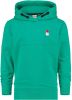 VINGINO jongens hooded sweater NOESKBN34601 groen online kopen